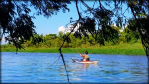 Reconquista se establece como el safari fotográfico de la provincia