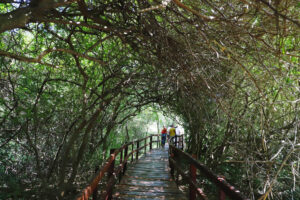 Reconquista – Estudiantil / Educativo