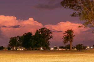Melincué - Estudiantil / Educativo