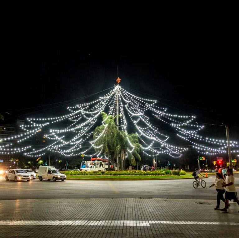Encendido del Arbolito de Navidad