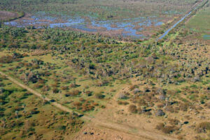 Avellaneda - Estudiantil / Educativo
