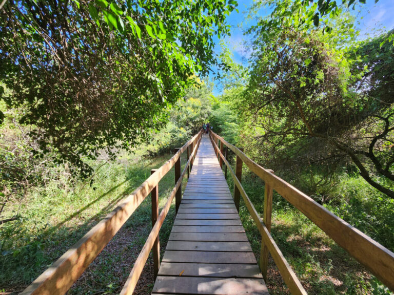 Fiesta de los Humedales