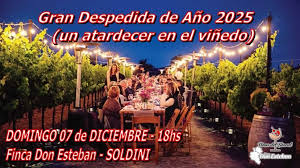 Gran Despedida de Año 2025.