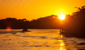 Disfruta la pesca de río