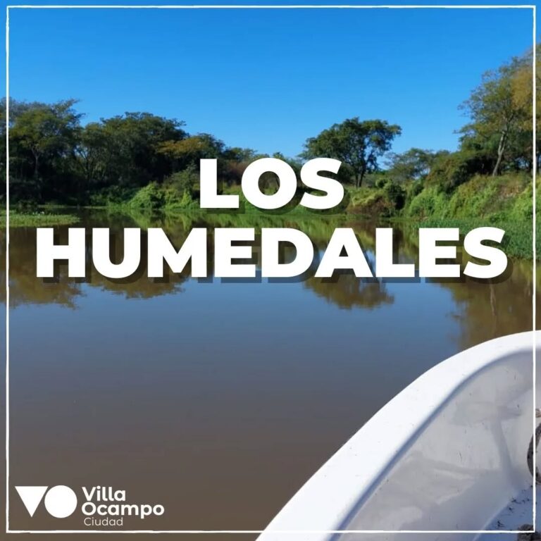 Semana de los humedales