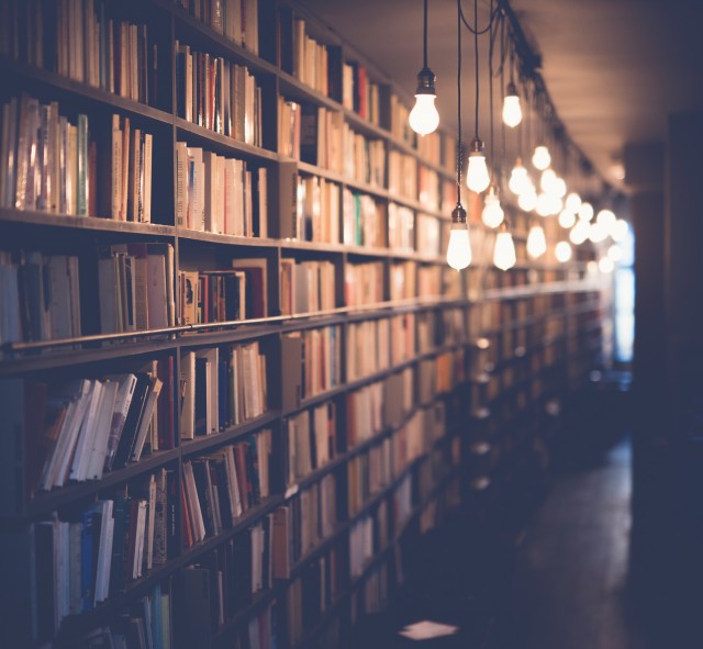 Una extensa estantería de madera repleta de libros cubre por completo una larga pared de un pasillo o biblioteca con un estilo cálido y acogedor.